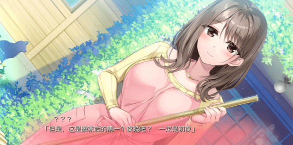 Re CATION Melty Healing PC和安卓模拟新汉化版，全CV