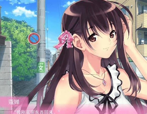 真实人生 PC和安卓精翻新汉化完结版