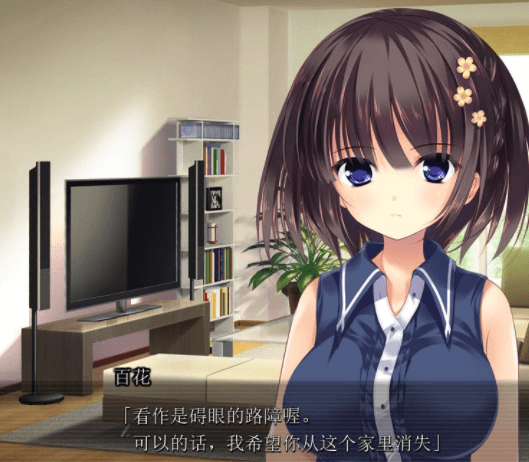 扔掉本本之后,兄长情况有异?精翻完结汉化PC版
