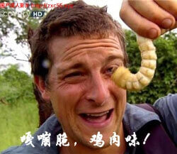 异种注意 捕获未知生物！新四章+2外传精翻汉化PC版