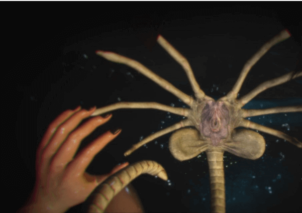 异种注意 捕获未知生物!新四章+2外传精翻汉化安卓版