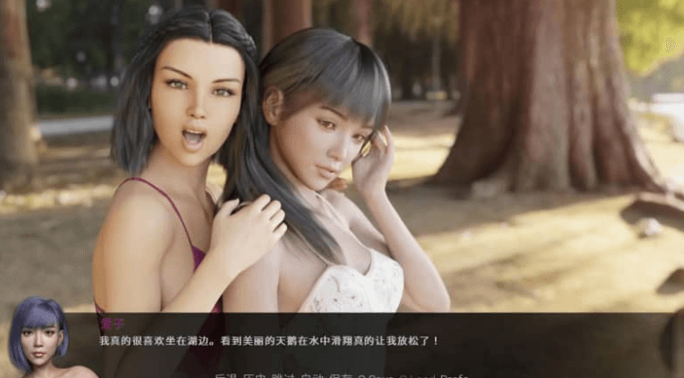 不雅的欲望 V0.20 PC加安卓汉化版