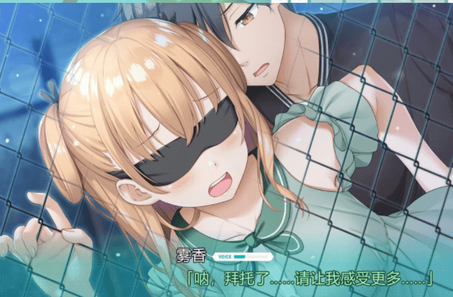献给神明般的你 Ex Ver1.1 精翻完整汉化版，有存档